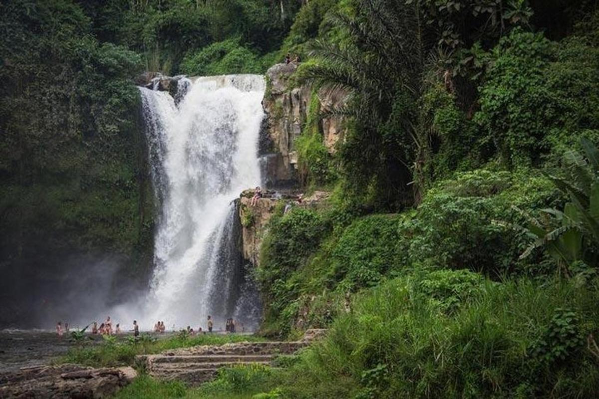 a waterfall with a group of people in front of it