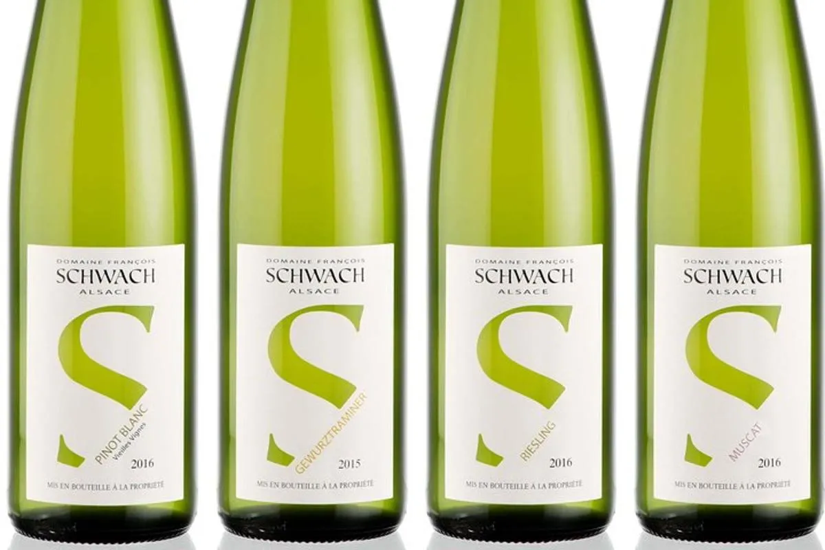 Colmar : initiation aux vins d'Alsace avec dégustation et bretzels – photo 1