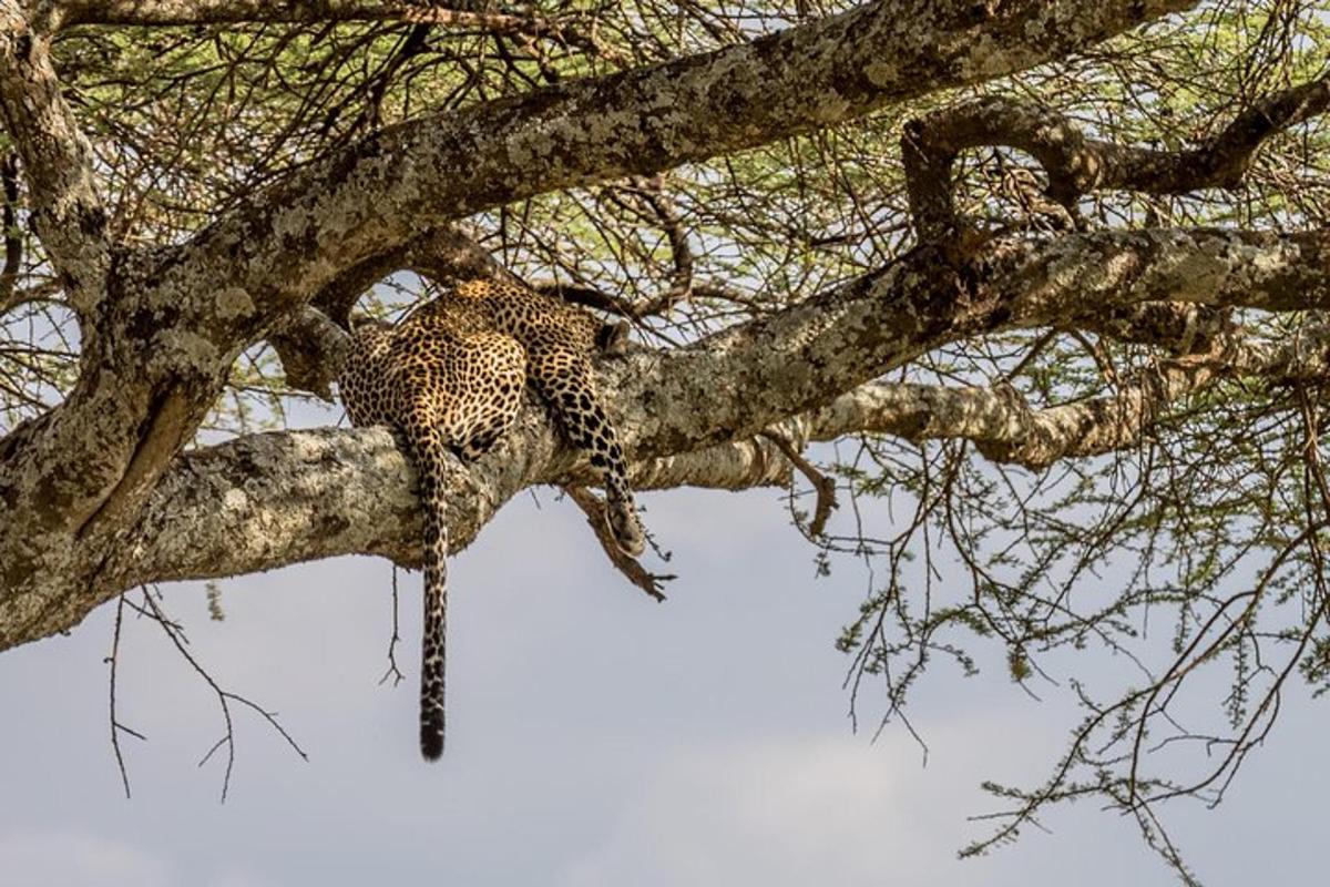 Fotografia da atração 2