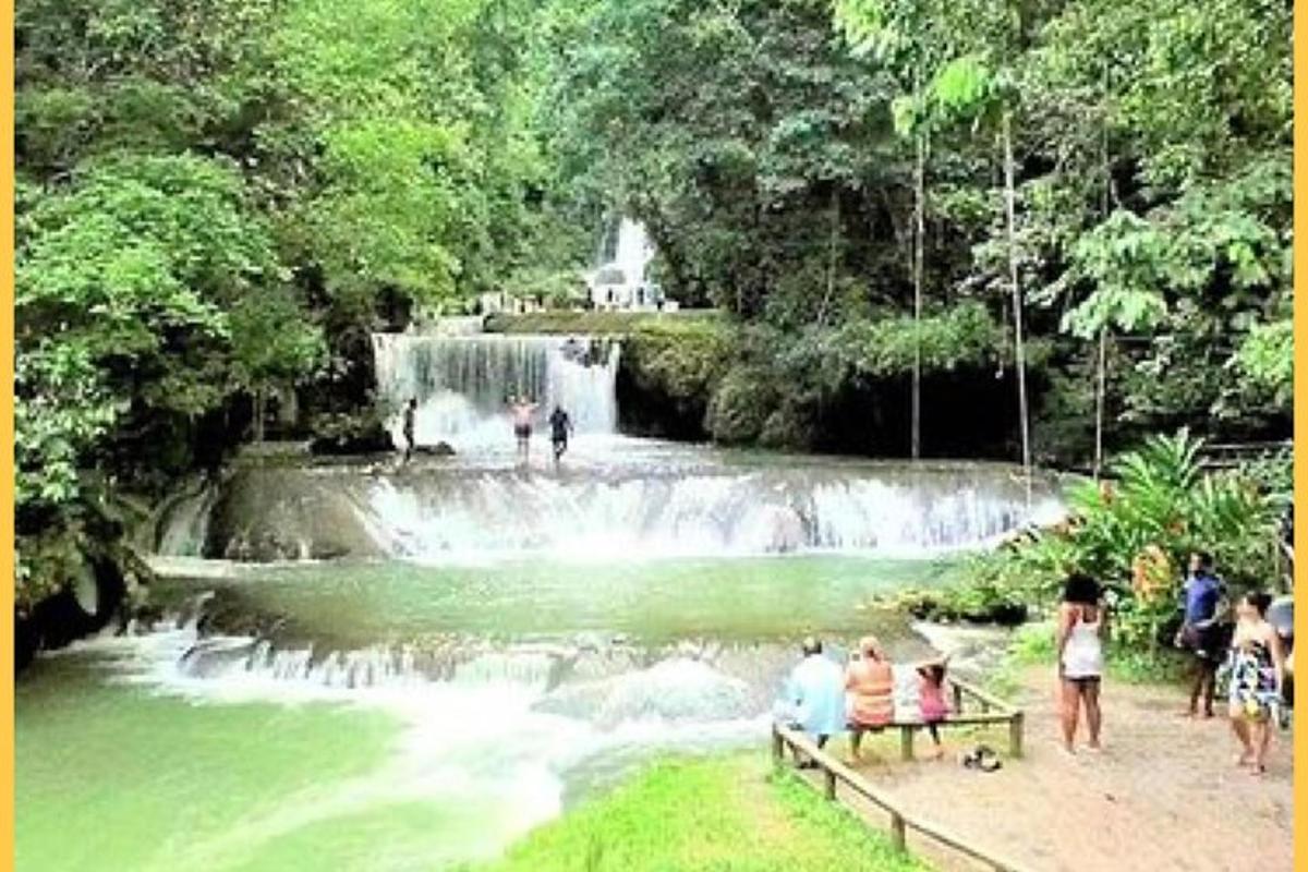un grupo de personas sentadas frente a una cascada