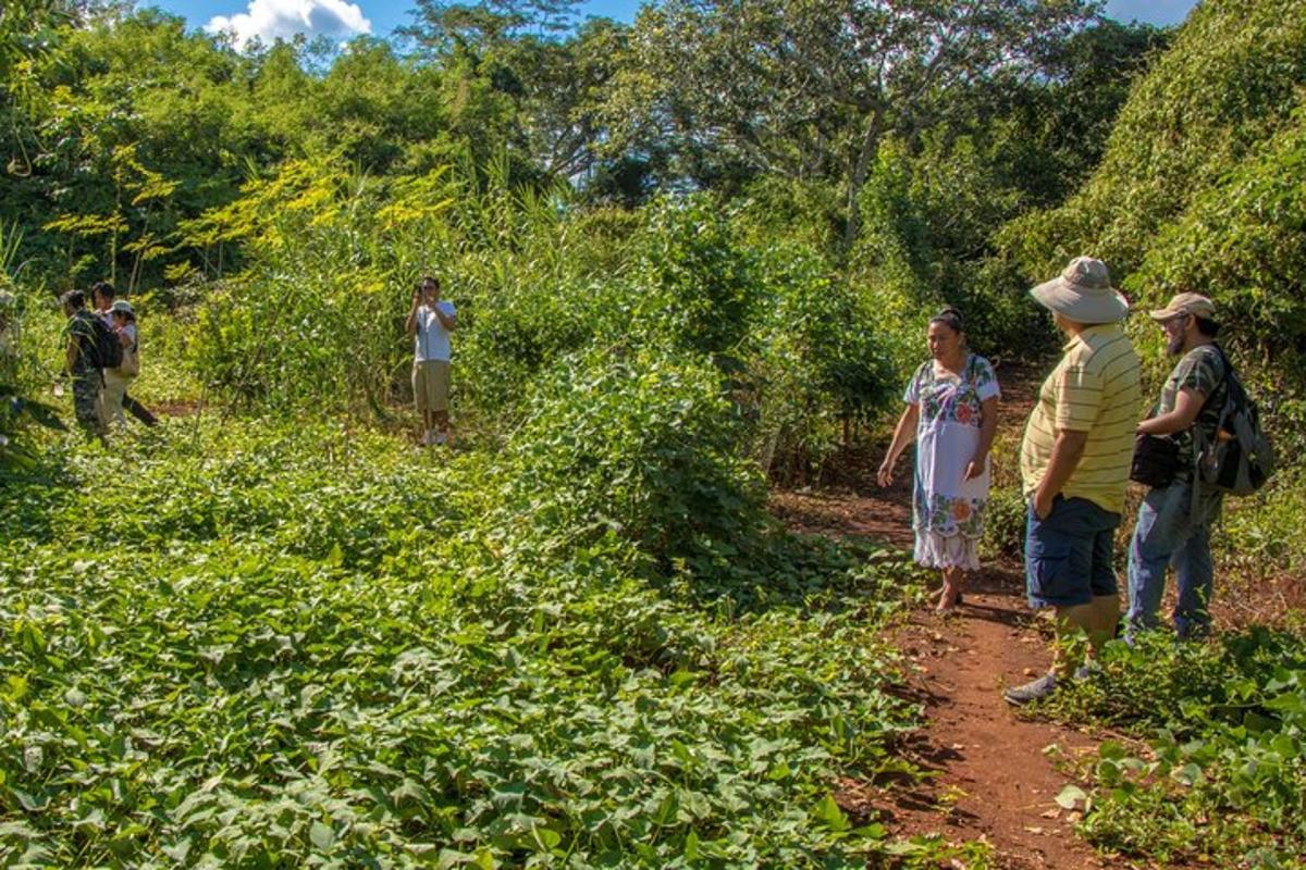 un gruppo di persone che camminano lungo un sentiero sterrato