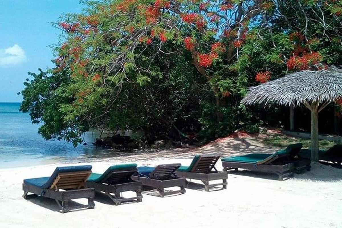 Un grupo de sillas y una sombrilla en una playa.
