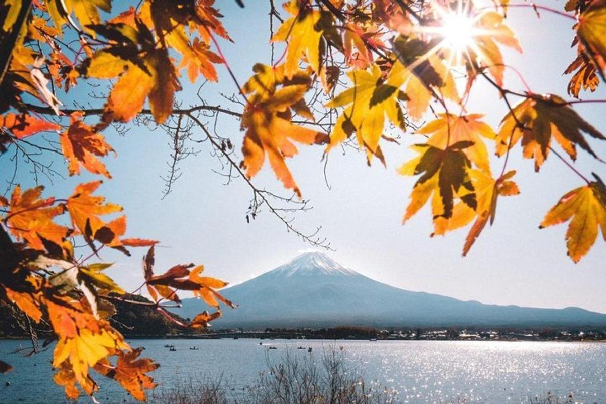 ein Blick auf den Fuji durch Herbstlaub