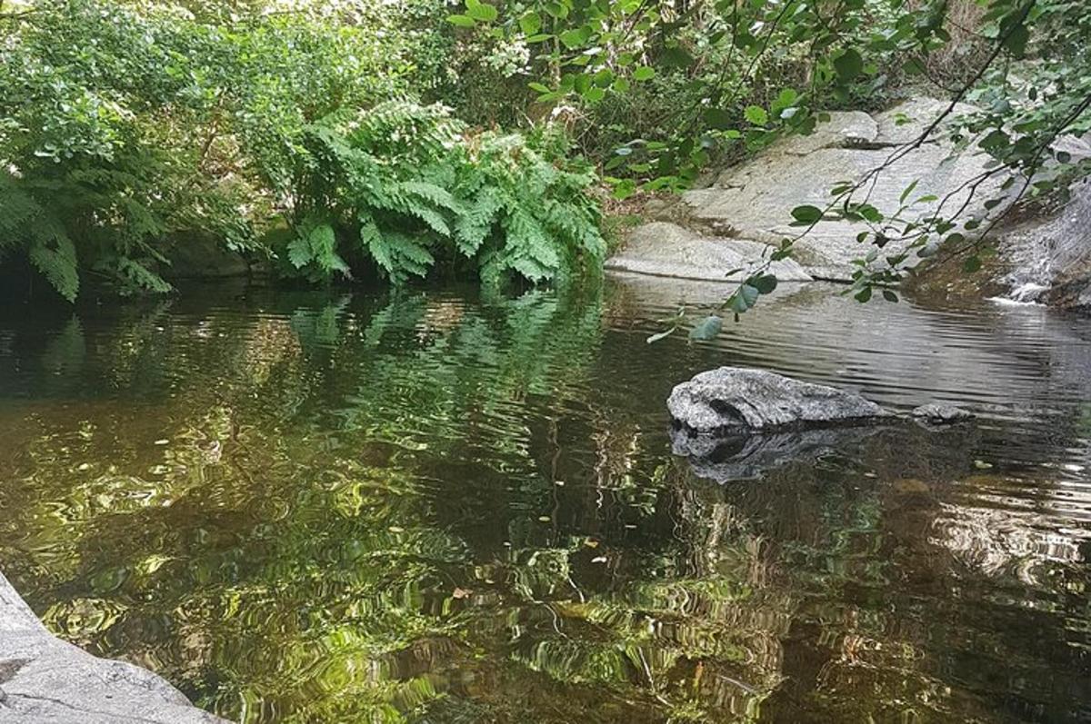 Billede 3 af seværdigheden