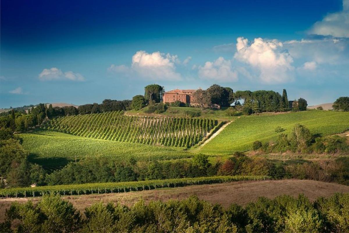 a farm on a hill with a house on it