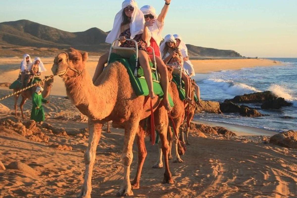 eine Gruppe von Menschen reitet auf Kamelen am Strand