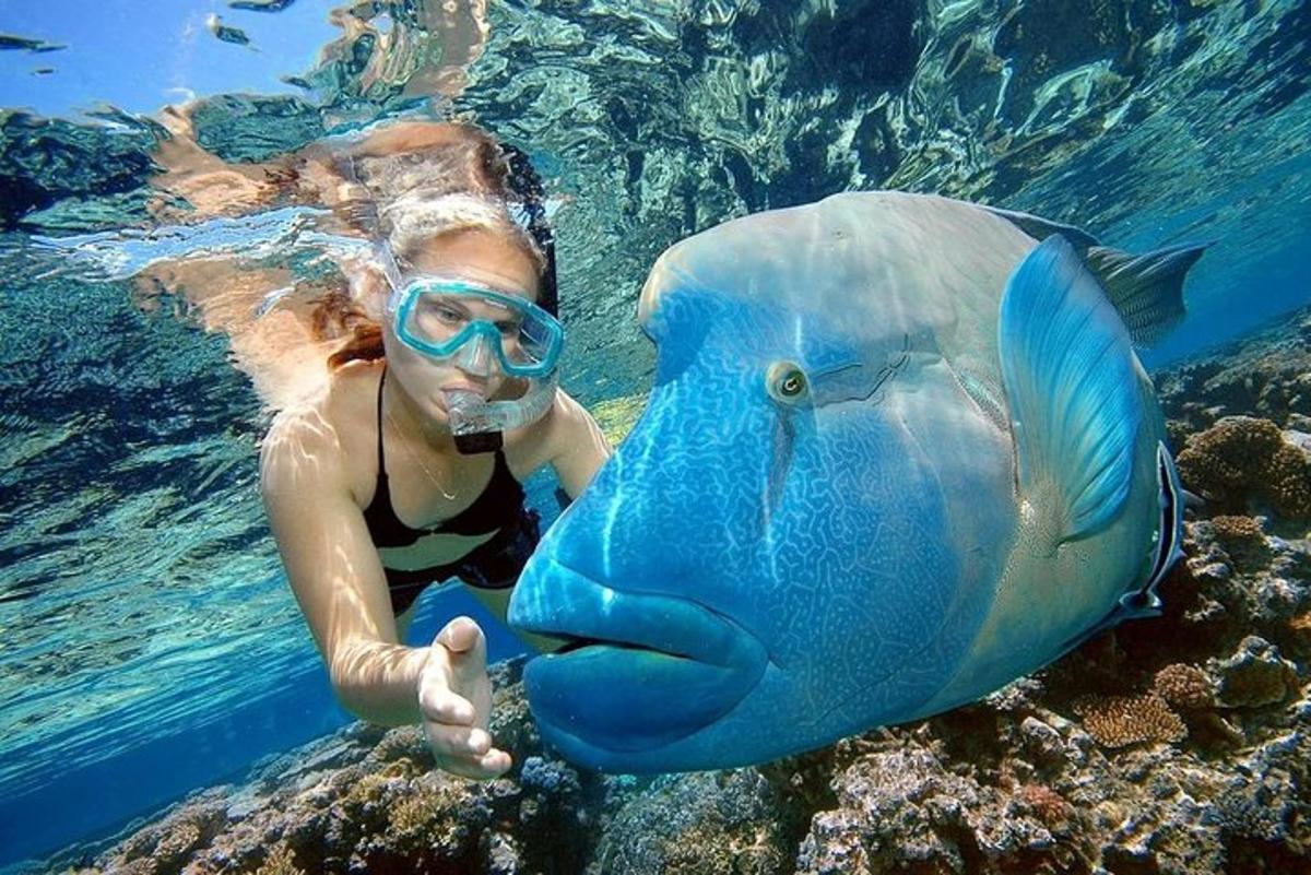 una donna in acqua con un grande pesce azzurro
