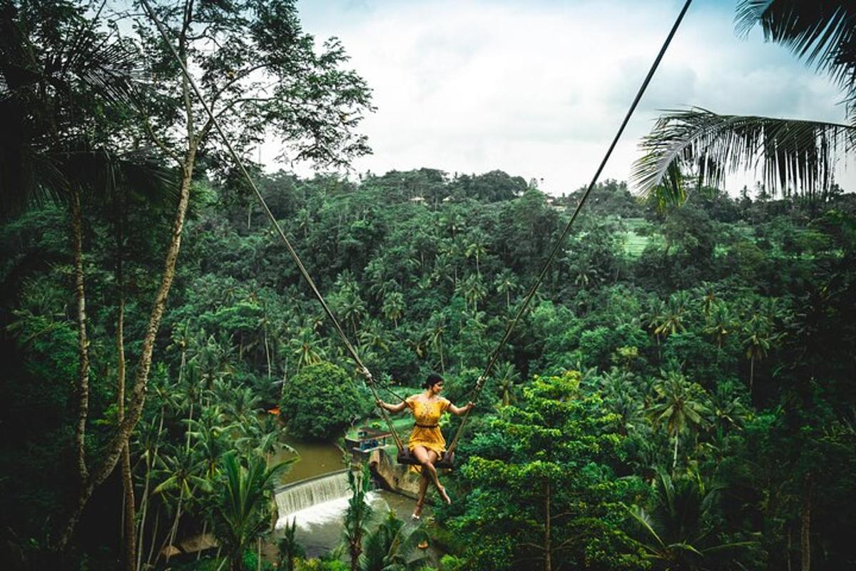 seseorang di garis zip di dalam hutan