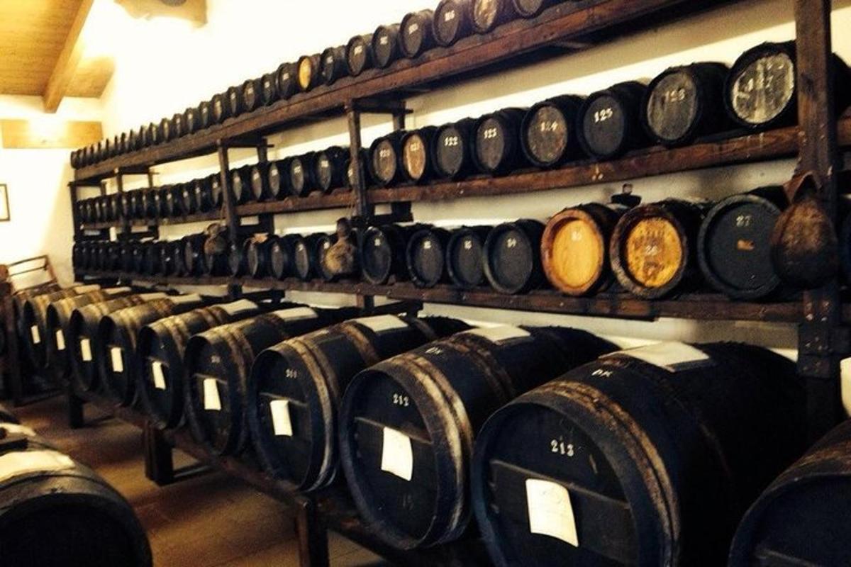 un mucchio di botti di vino in una cantina