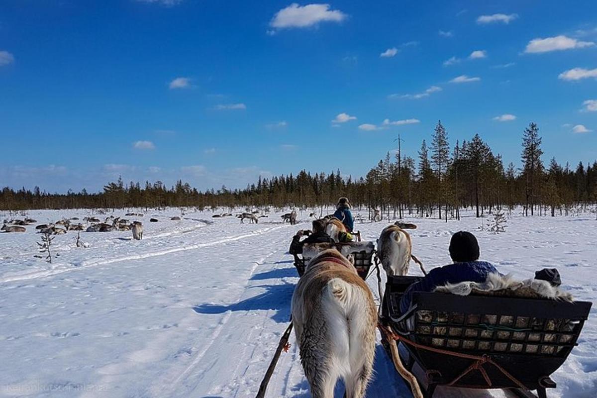 Bilde 6 av attraksjonen