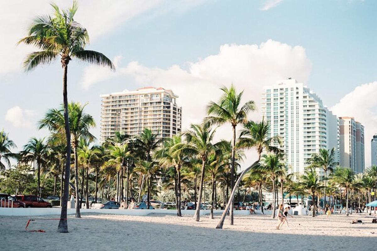 a beach with palm trees and tall buildings