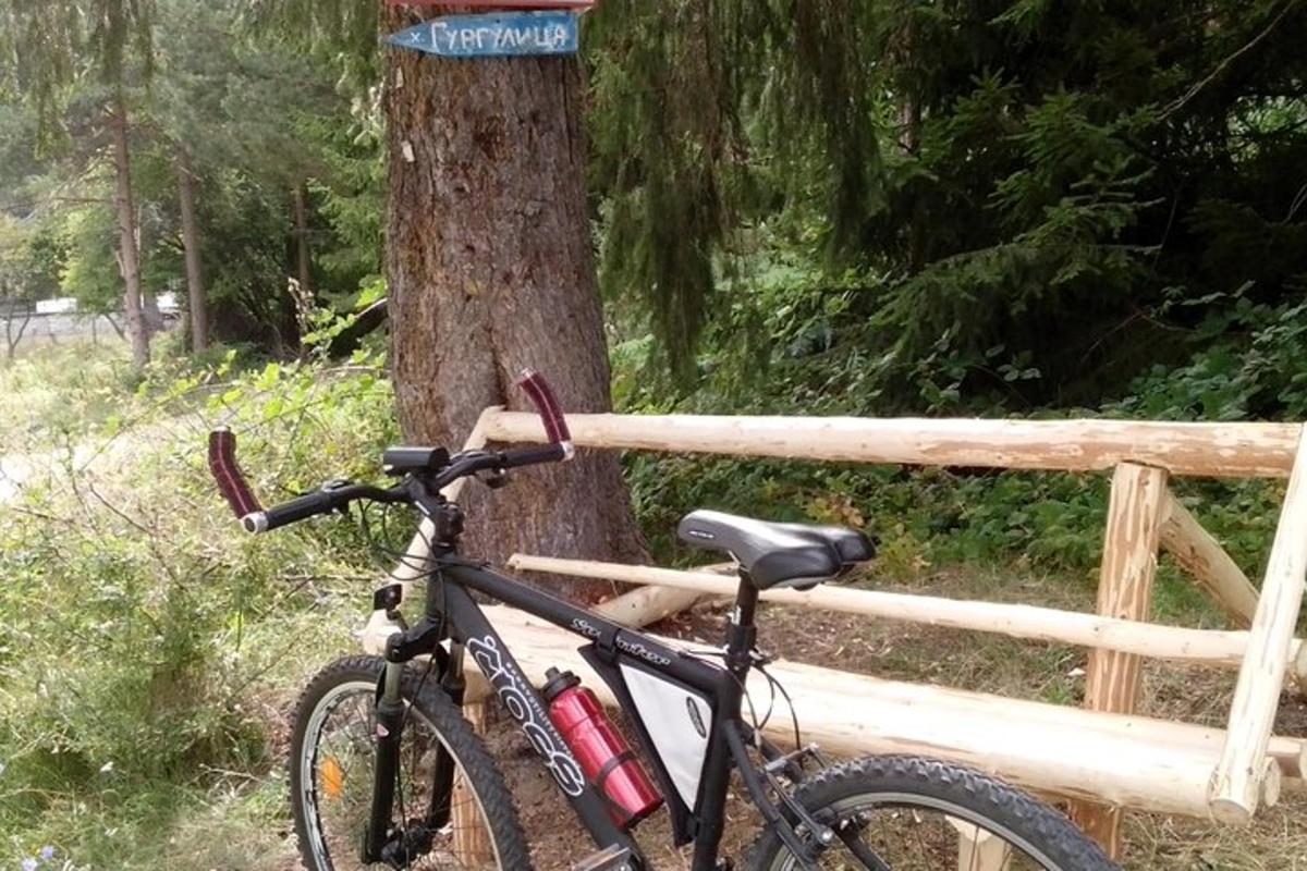 una bicicletta parcheggiata accanto a un albero con un cartello sopra