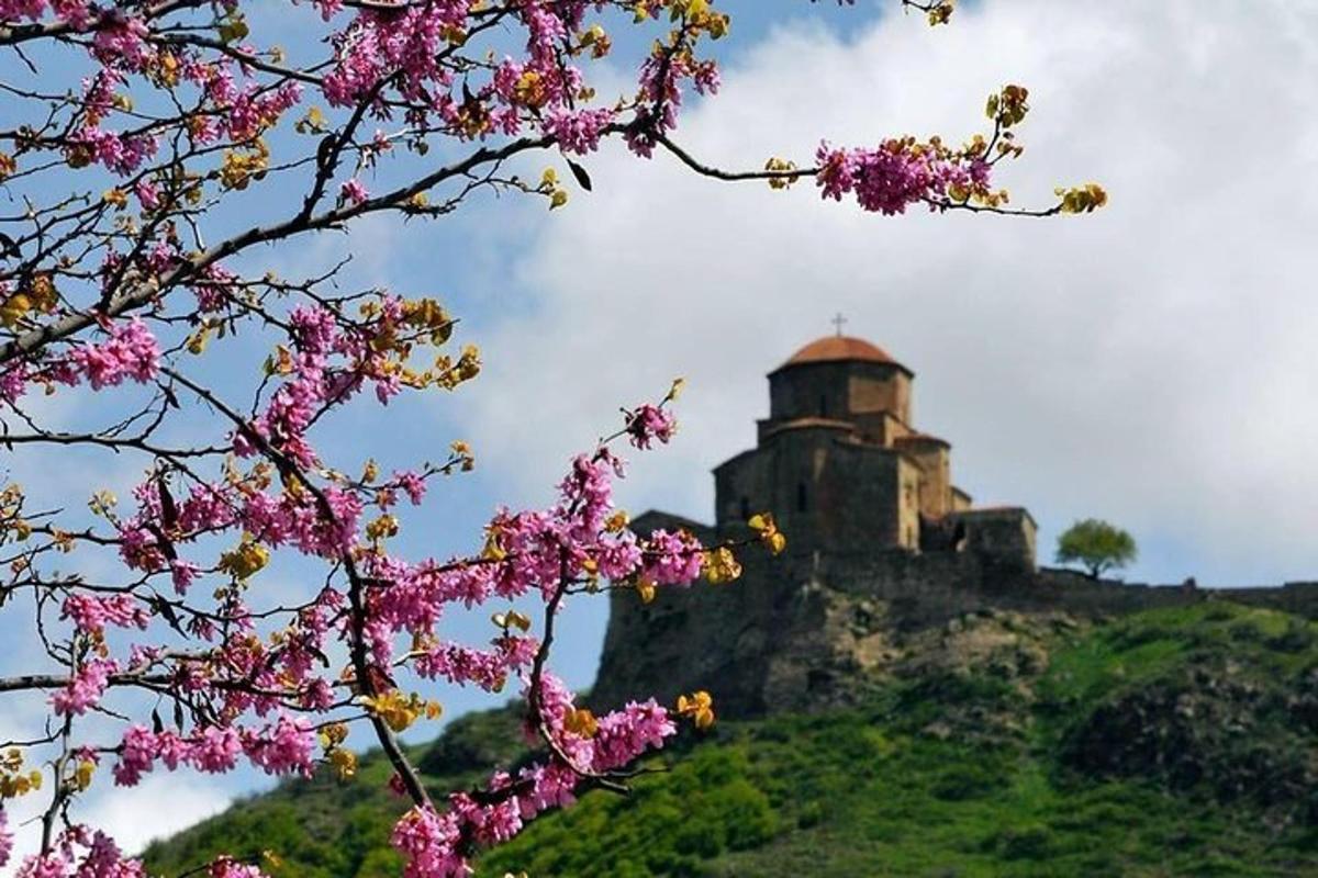a castle on top of a hill with pink flowers