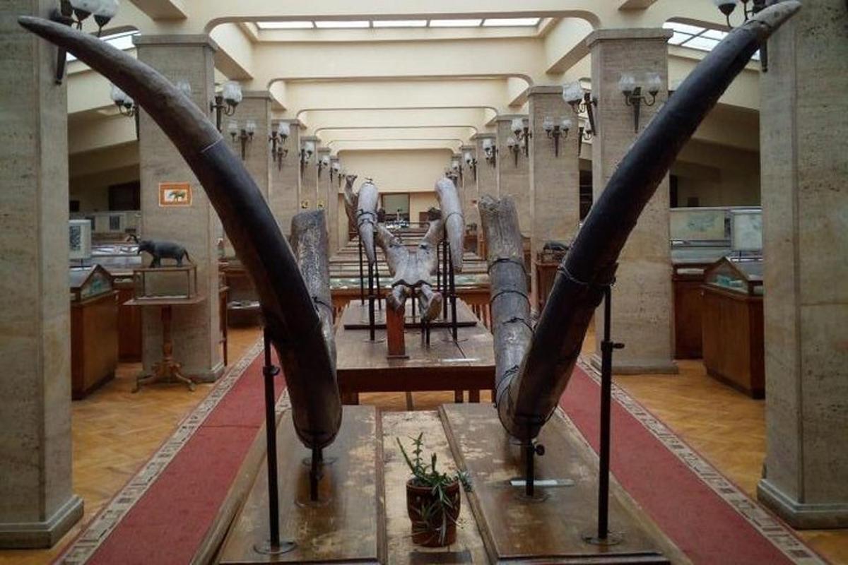 muzeum se dvěma velkými zbraněmi vystavenými