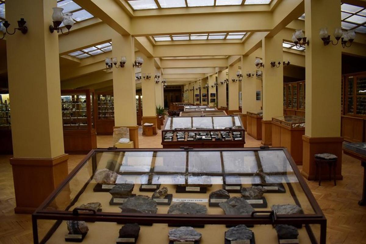 muzeum s expozicí artefaktů ve skleněné vitríně