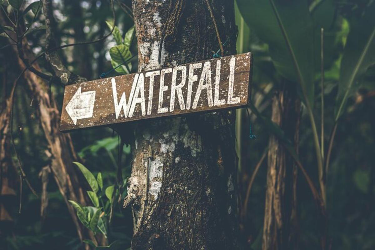 a sign that says warfield on a tree