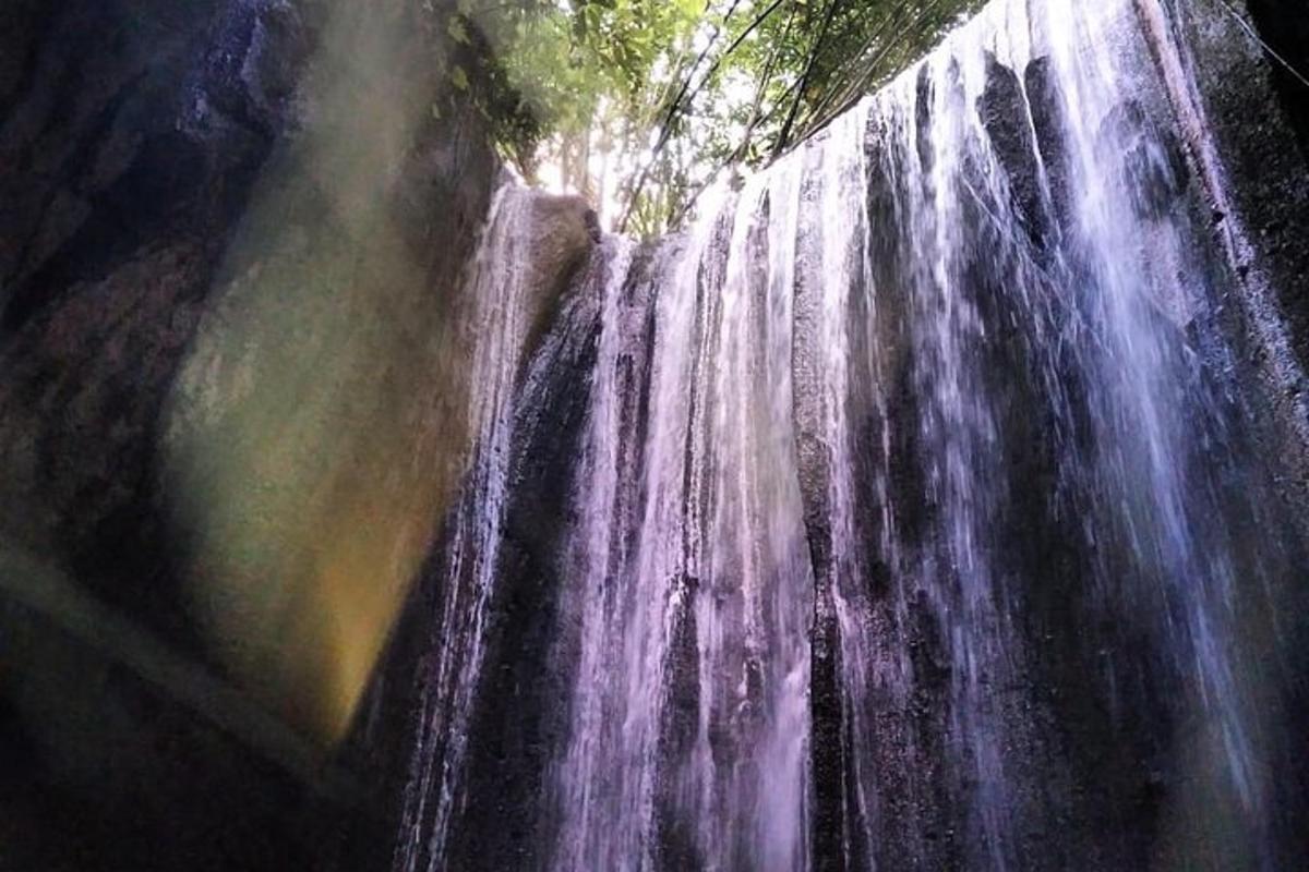a close up of a waterfall in a forest