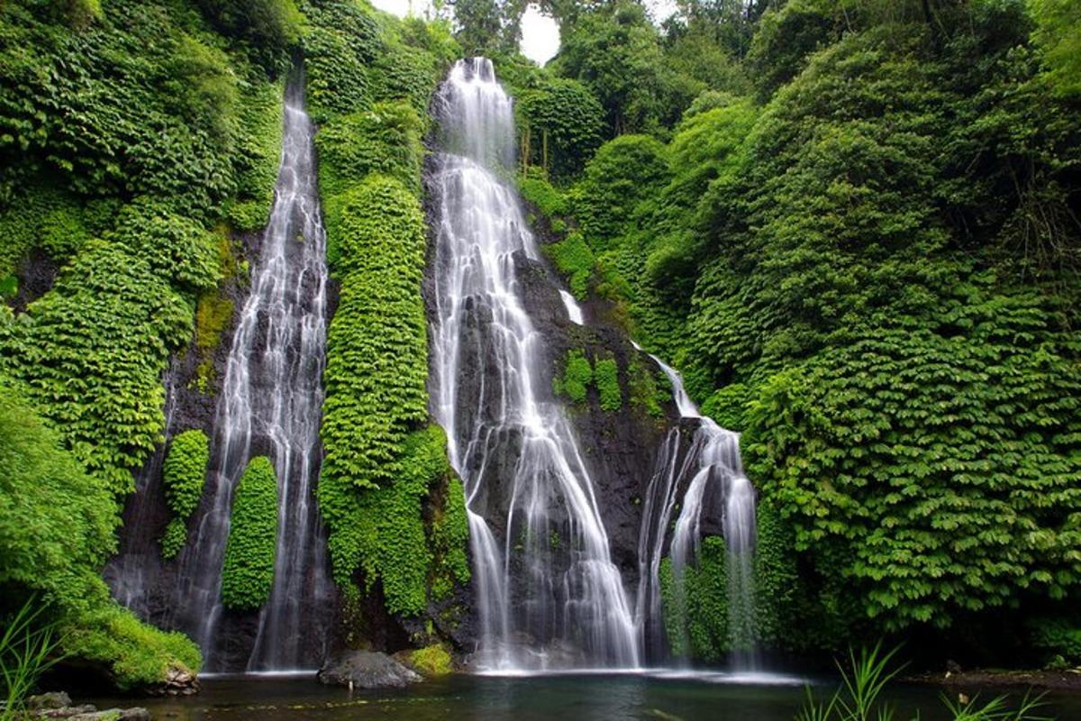 een waterval midden in een bos
