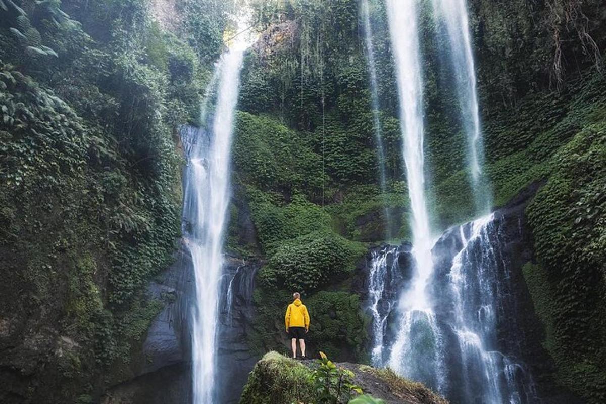 een man die op een rots voor een waterval staat