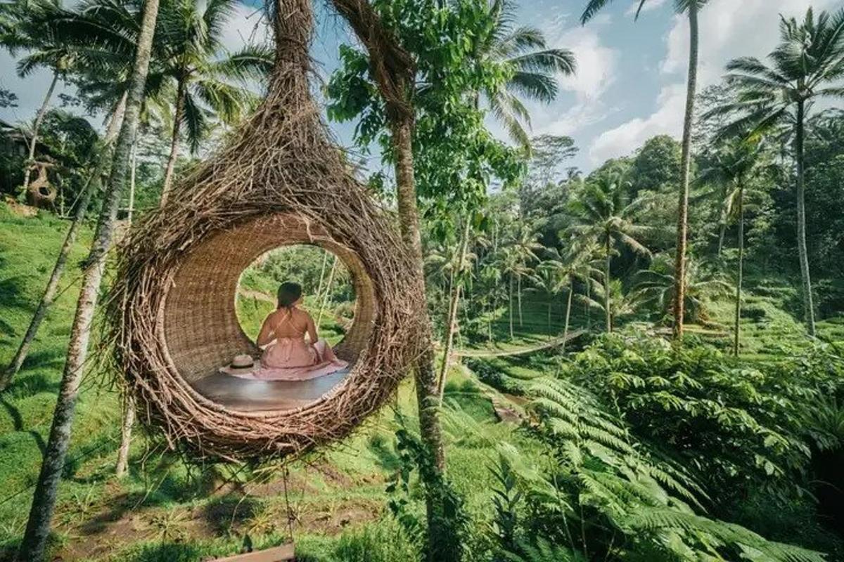 een vrouw die in een nest hangt, hangend aan een boom