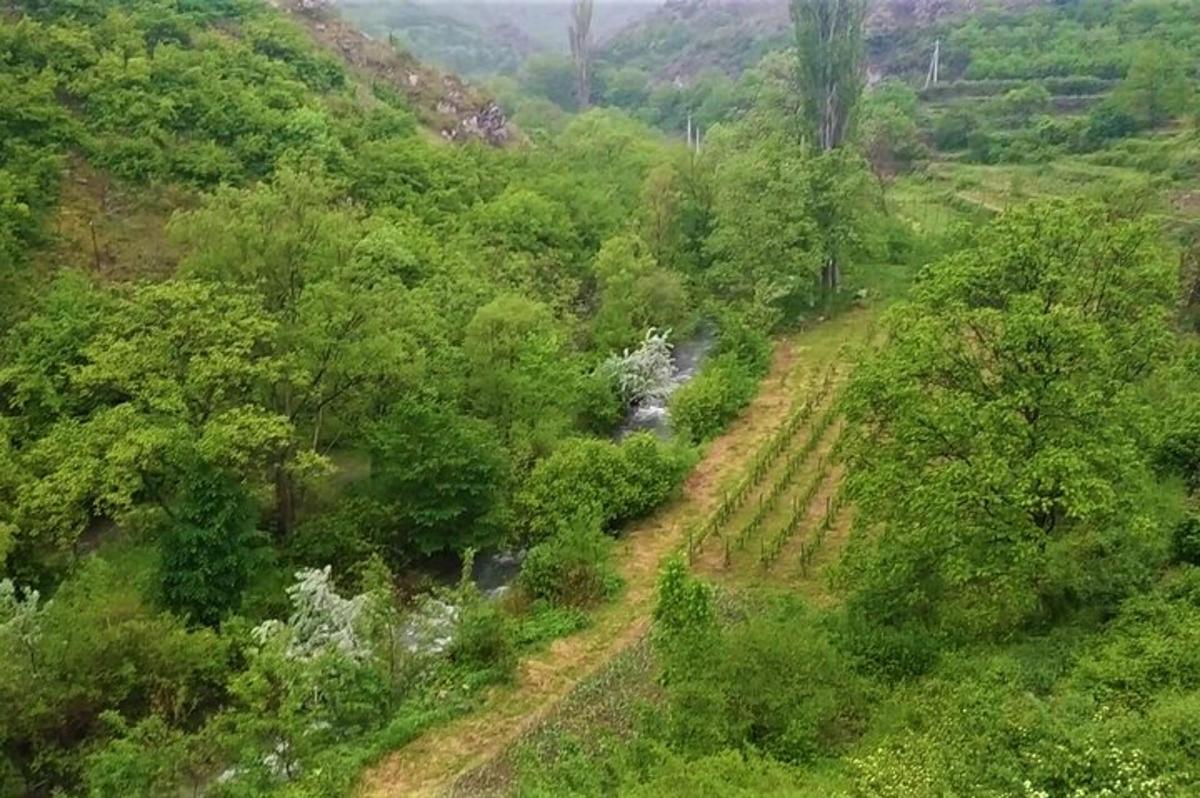 поглед одозго на брдо са дрвећем и реком