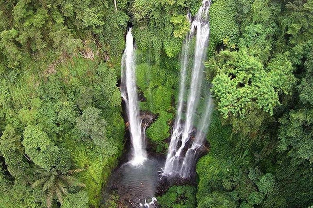 o vedere aeriană a unei cascade într-o pădure