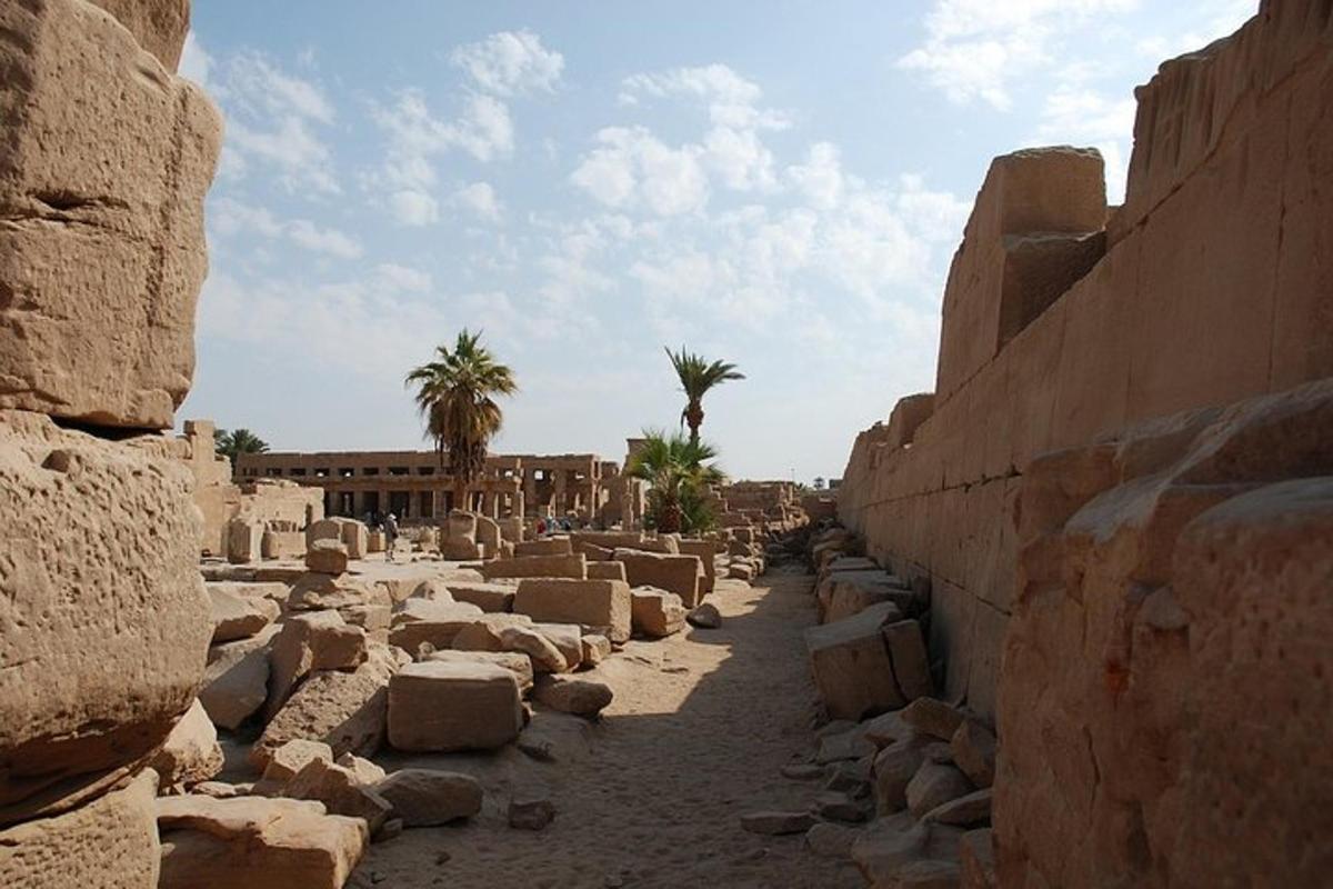 زقاق في أنقاض مبنى به أشجار النخيل
