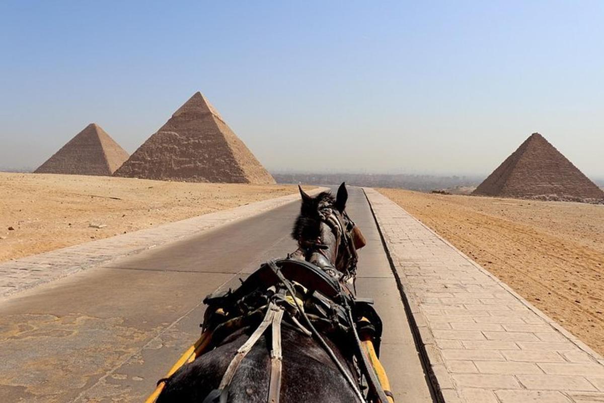 kůň kráčející po cestě před pyramidami