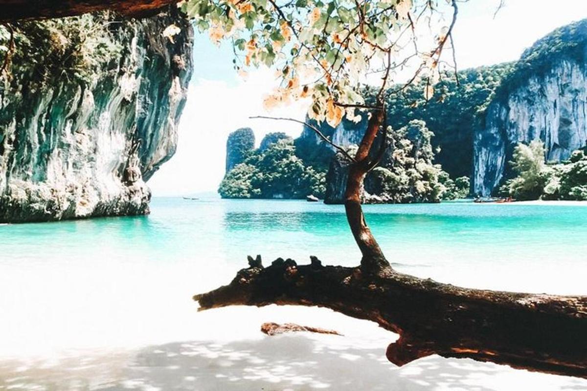 a tree laying in the water next to a beach