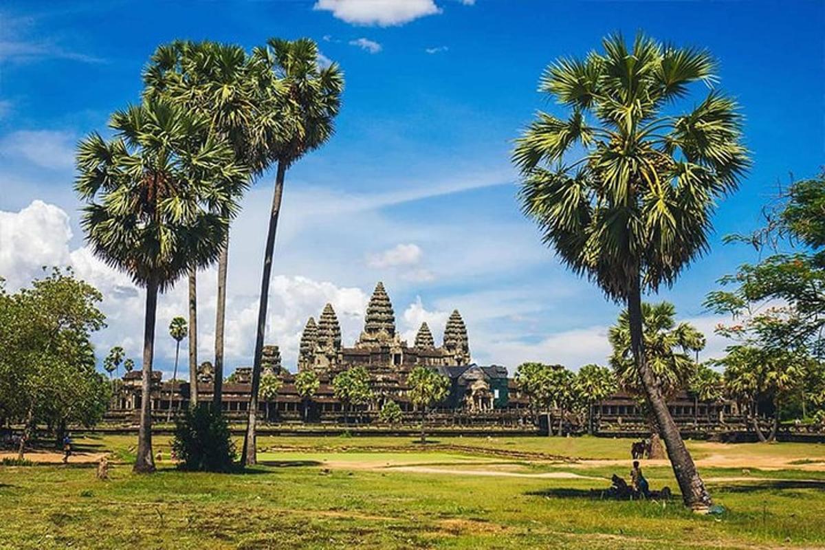 a group of palm trees in front of a temple