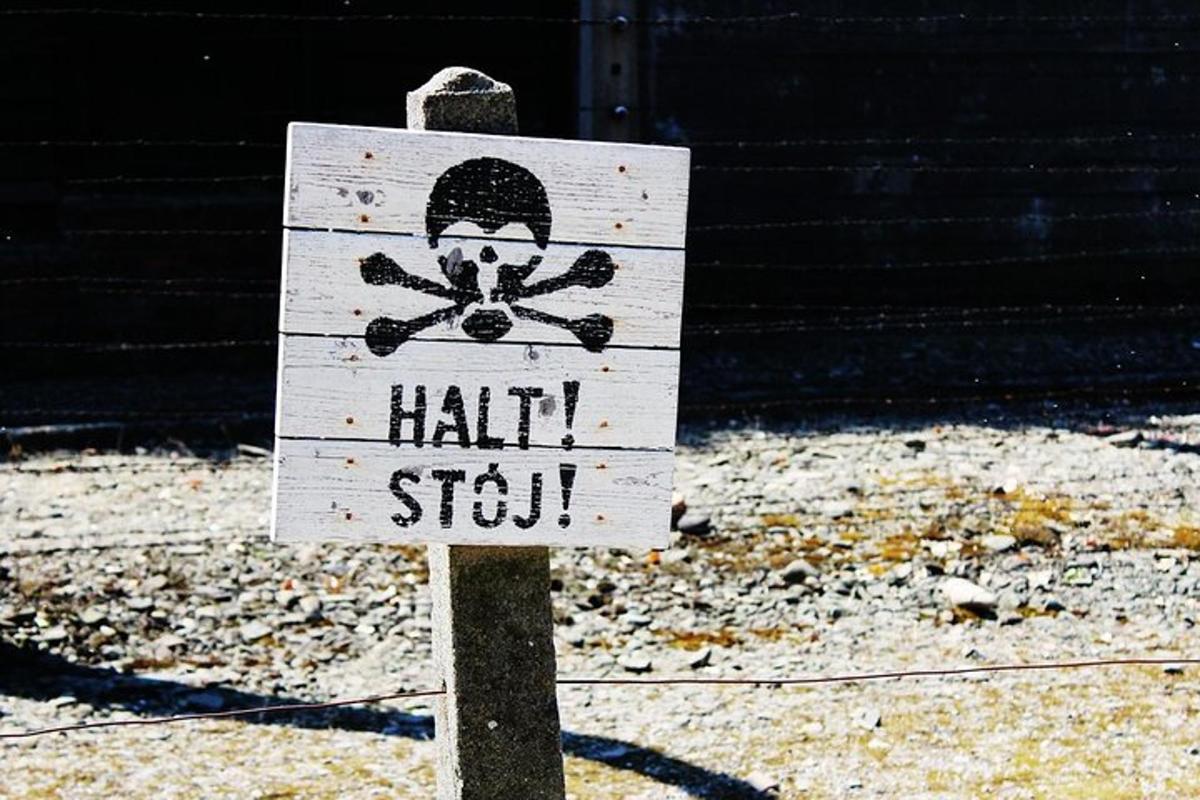 Zdjęcie numer 7 atrakcji