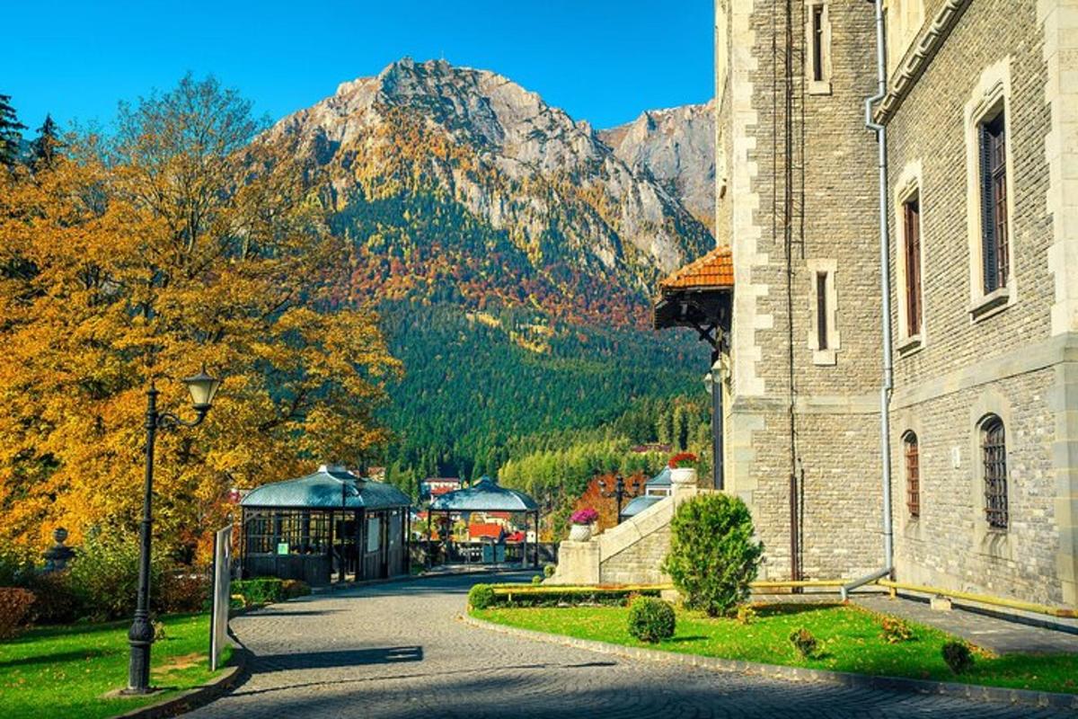Fotografia 5 a atracției
