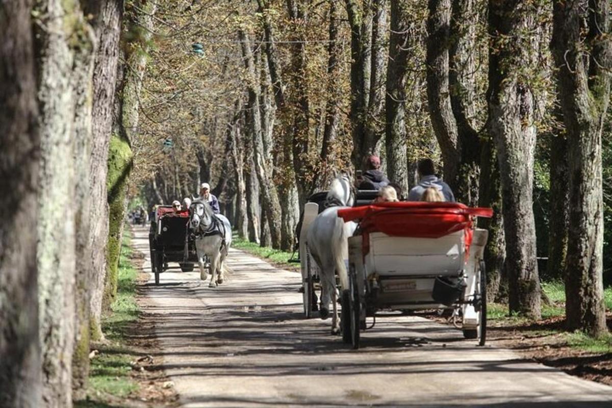 skupina lidí jedoucích v koňském povoze