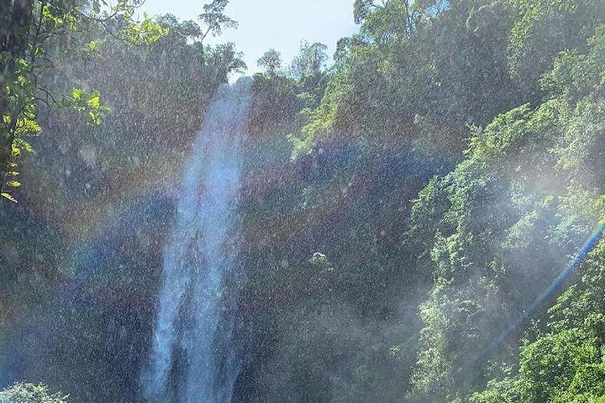 Foto 5 da atração