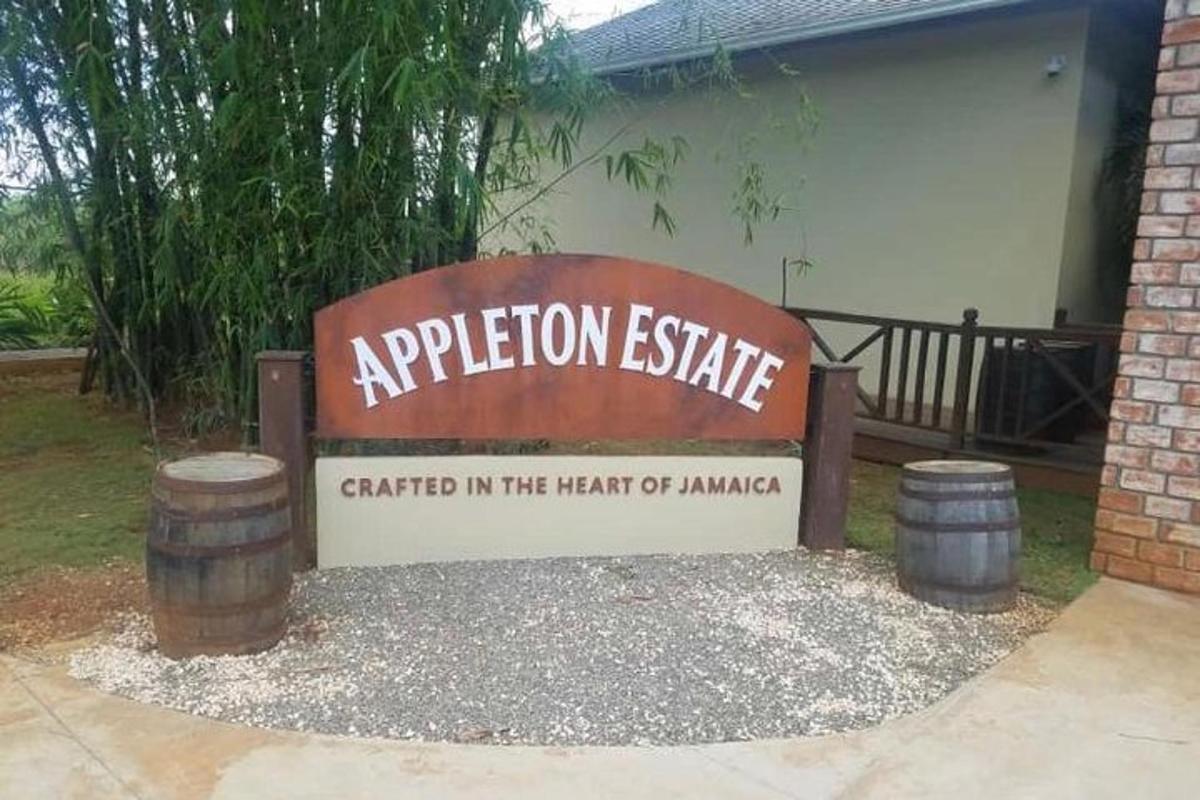 silt kirjaga "avaldus kinnisvarasse registreerumine Jamaica südames"