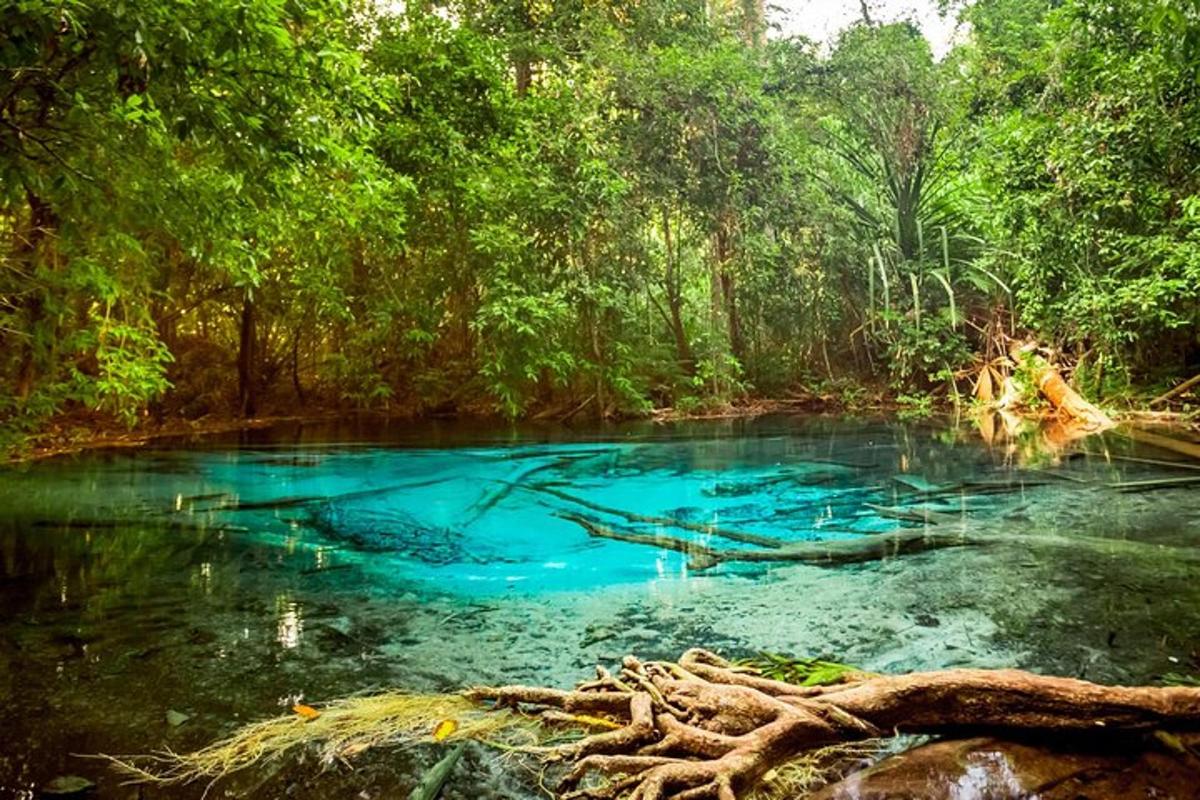 una pozza d'acqua blu in mezzo a una foresta
