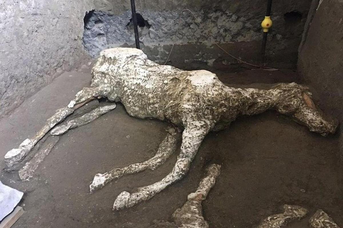 patung anjing tergeletak di tanah