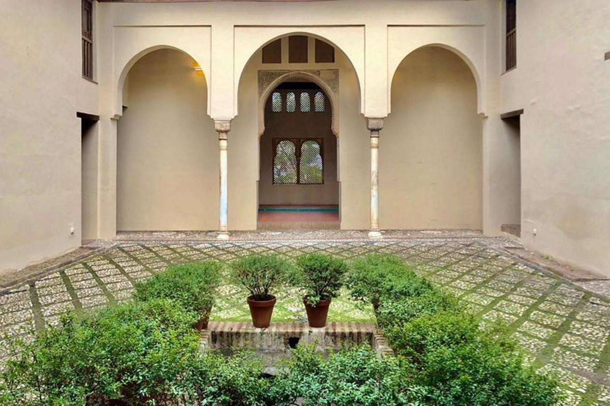 Un edificio vacío con dos plantas en macetas en un patio.