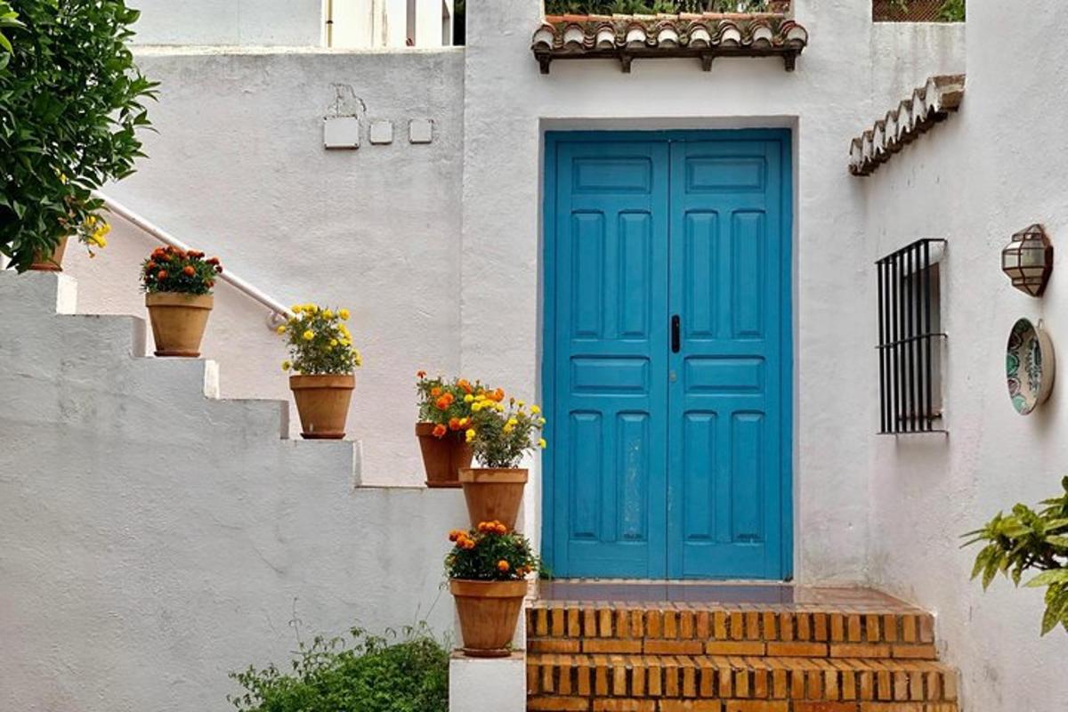 una porta blu su una casa bianca con piante in vaso