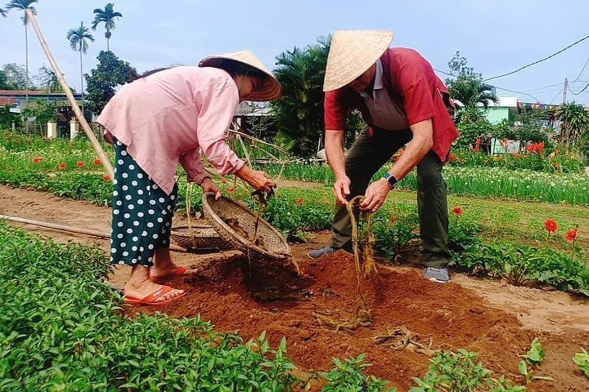 hai người đang làm việc trong một cánh đồng cây trồng