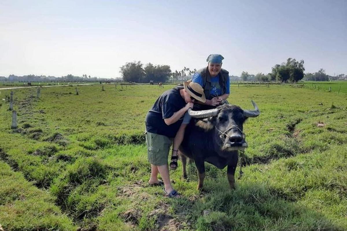 dua lelaki berdiri di sebelah lembu di padang