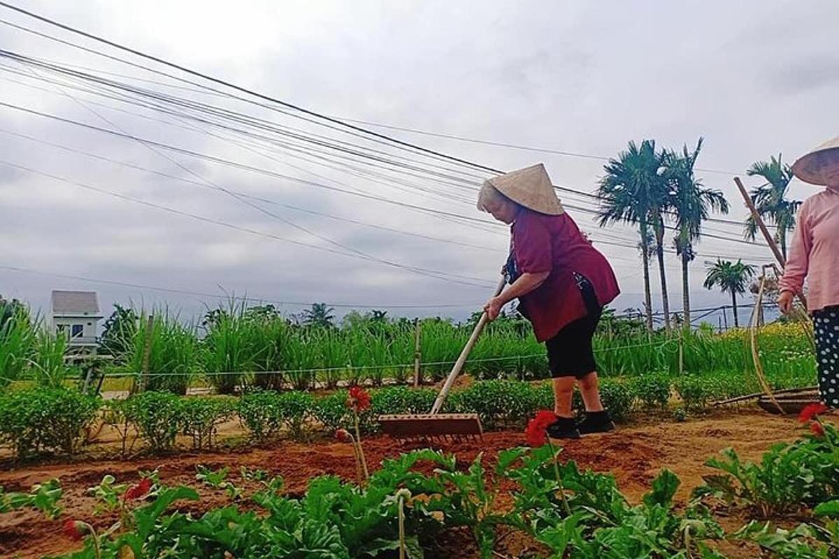 một người phụ nữ đang làm việc trong vườn với một cái cào