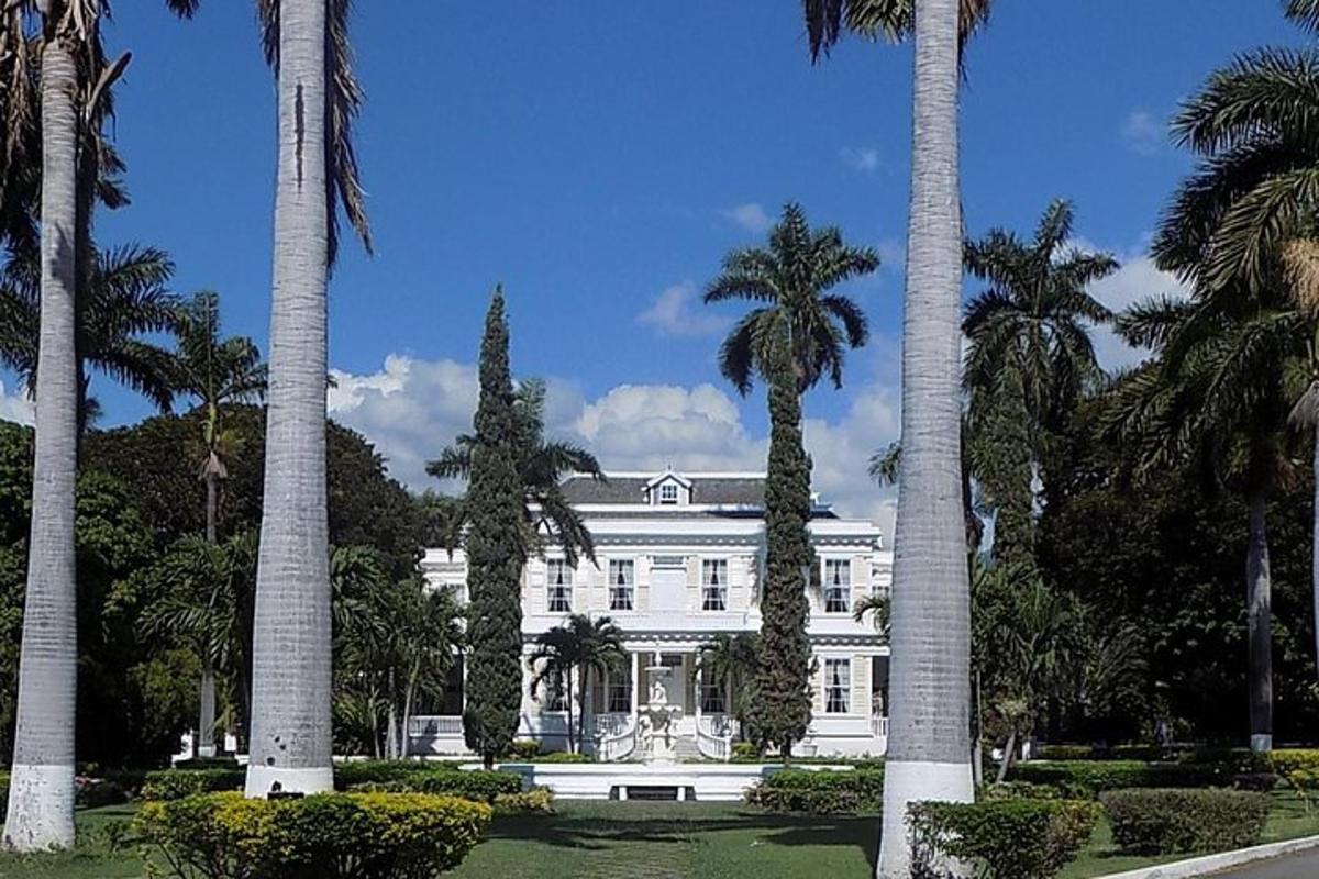 una casa blanca amb palmeres al davant