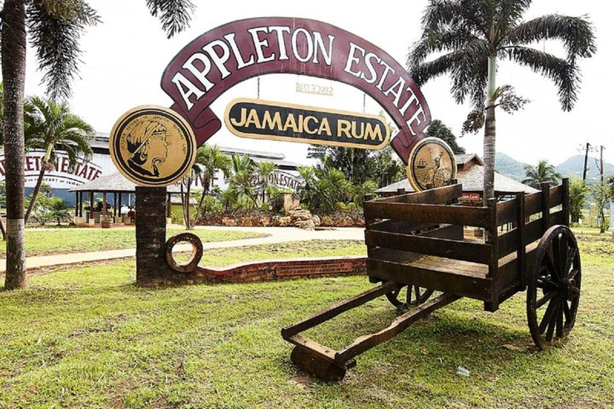 Un cartel que dice Ripperton Island Jamama Run con un carrito