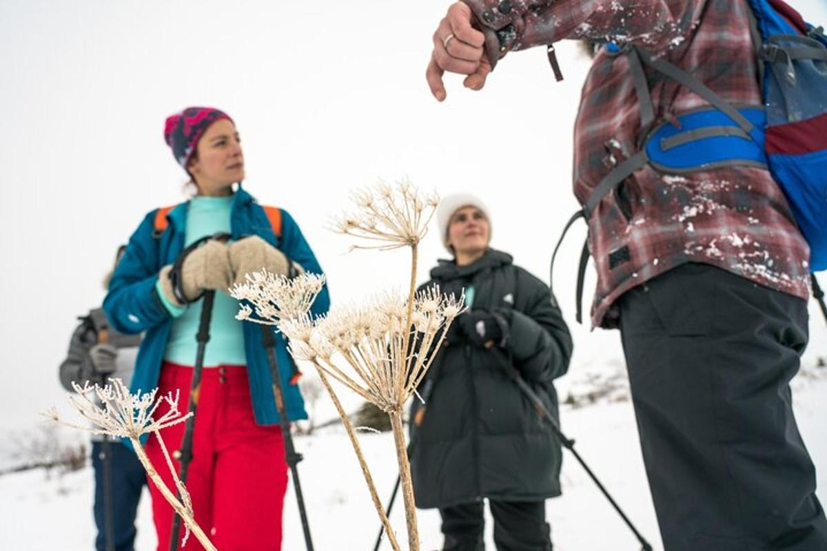 un gruppo di persone in piedi sulla neve con gli sci