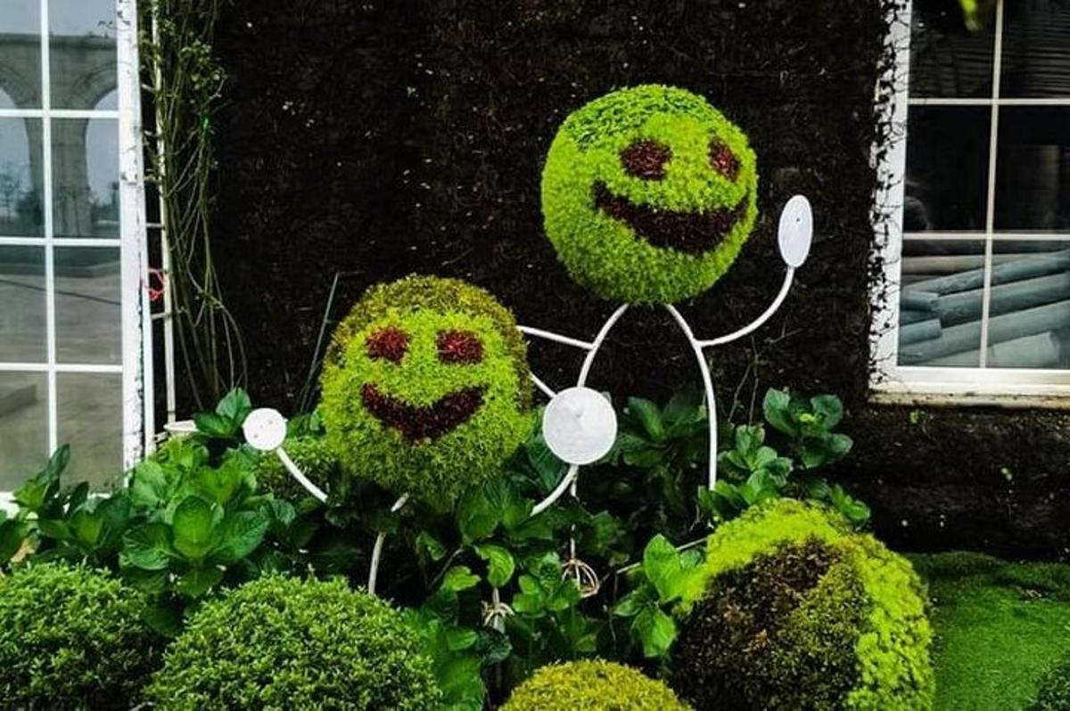 due volti fatti di piante in un giardino