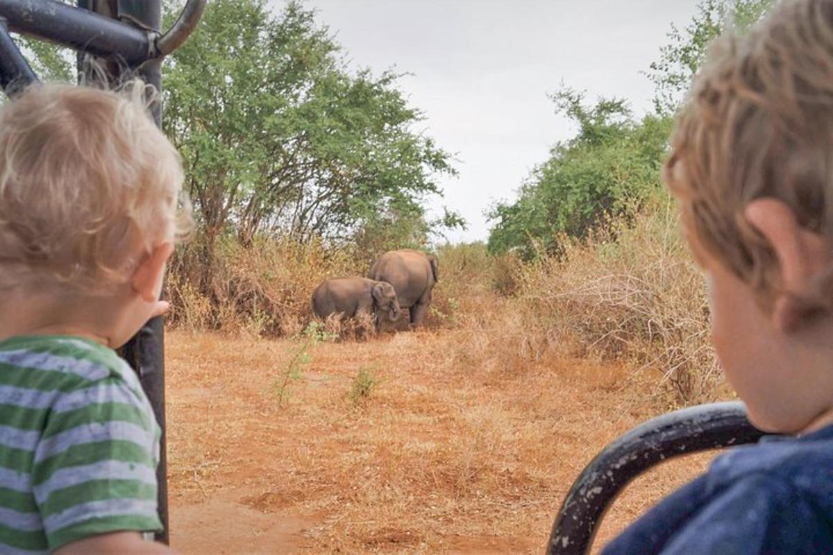 Dos niños mirando dos elefantes en un campo.