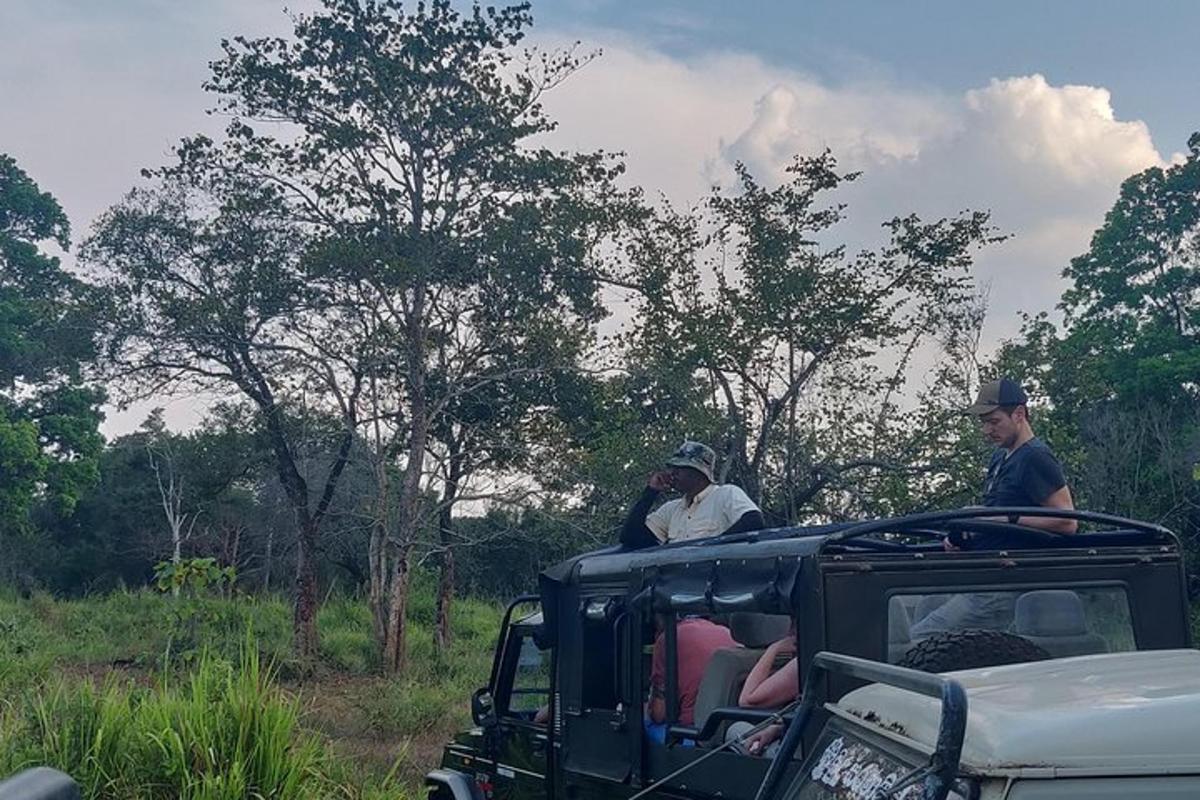 Un grupo de personas viajando en la parte trasera de un jeep
