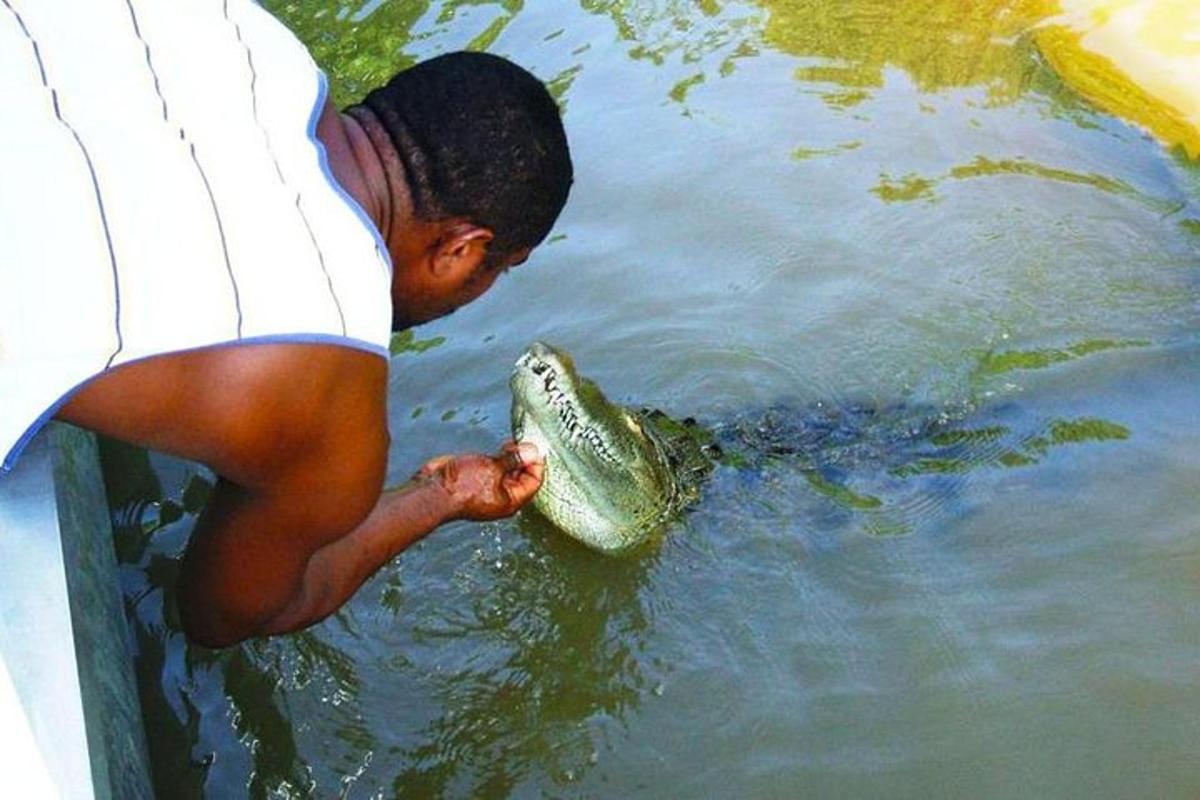 um menino está segurando um peixe na água