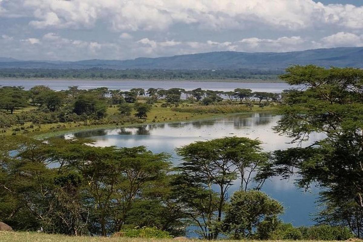 un grande specchio d'acqua circondato da alberi
